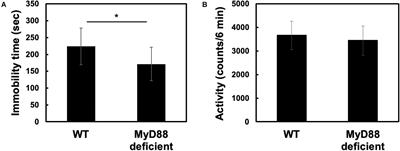 Possible Involvement of MyD88 in Regulating Stress Response in Mice